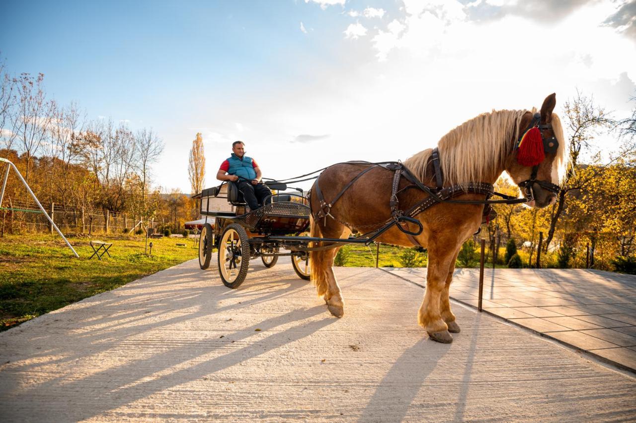 Hanul Doctorului Badeni-Runcu Runcu  Exterior foto